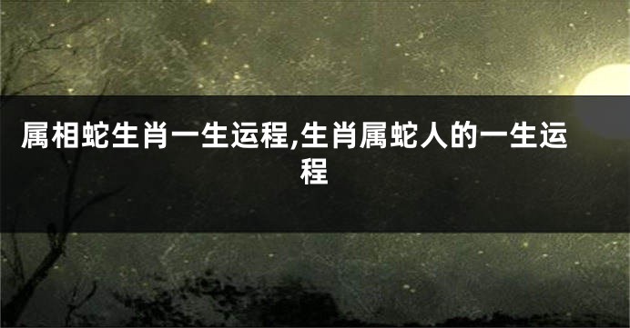 属相蛇生肖一生运程,生肖属蛇人的一生运程
