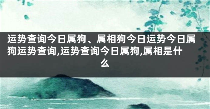 运势查询今日属狗、属相狗今日运势今日属狗运势查询,运势查询今日属狗,属相是什么