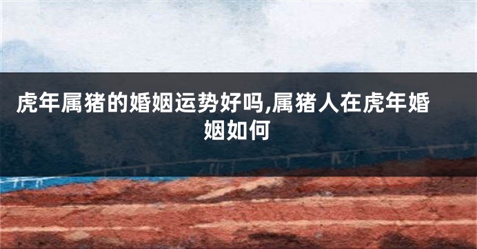 虎年属猪的婚姻运势好吗,属猪人在虎年婚姻如何