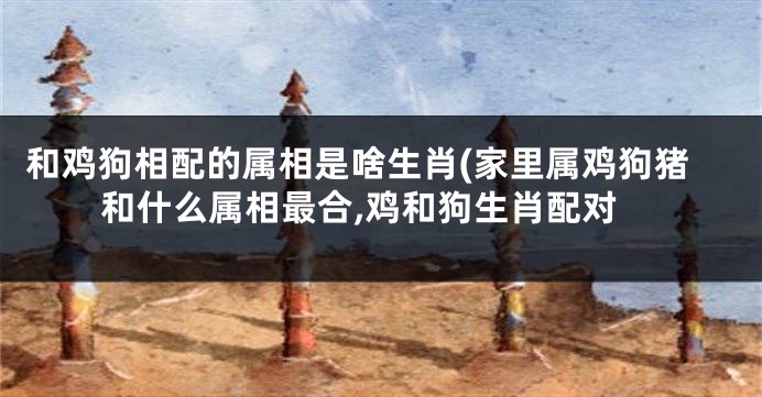 和鸡狗相配的属相是啥生肖(家里属鸡狗猪和什么属相最合,鸡和狗生肖配对