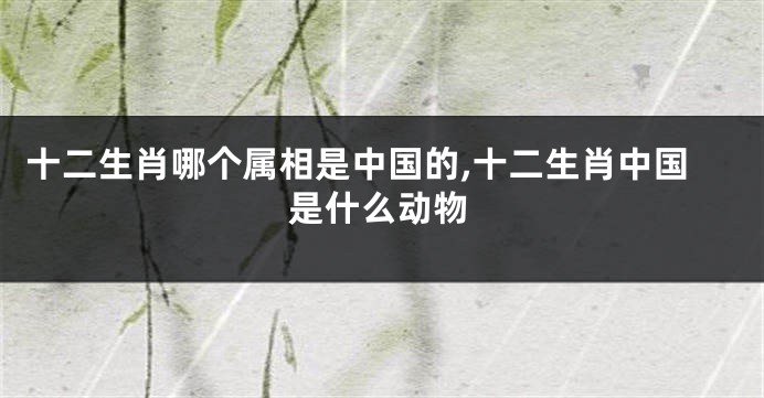 十二生肖哪个属相是中国的,十二生肖中国是什么动物
