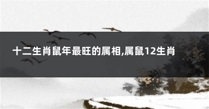 十二生肖鼠年最旺的属相,属鼠12生肖