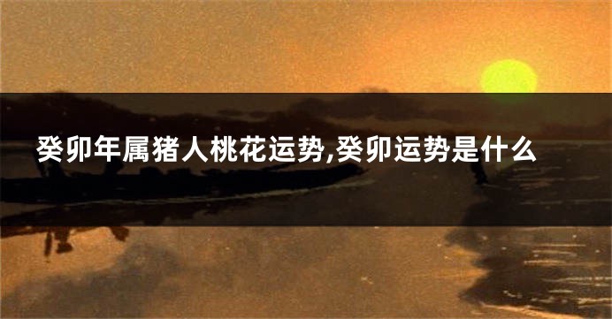 癸卯年属猪人桃花运势,癸卯运势是什么