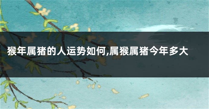 猴年属猪的人运势如何,属猴属猪今年多大