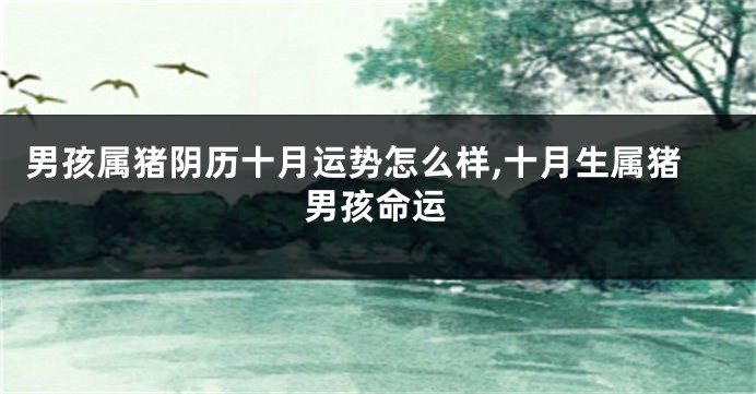 男孩属猪阴历十月运势怎么样,十月生属猪男孩命运