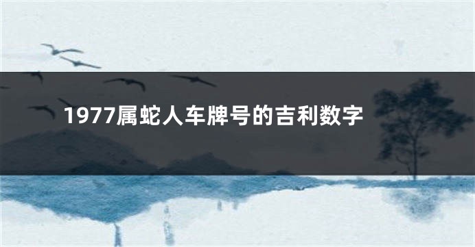 1977属蛇人车牌号的吉利数字
