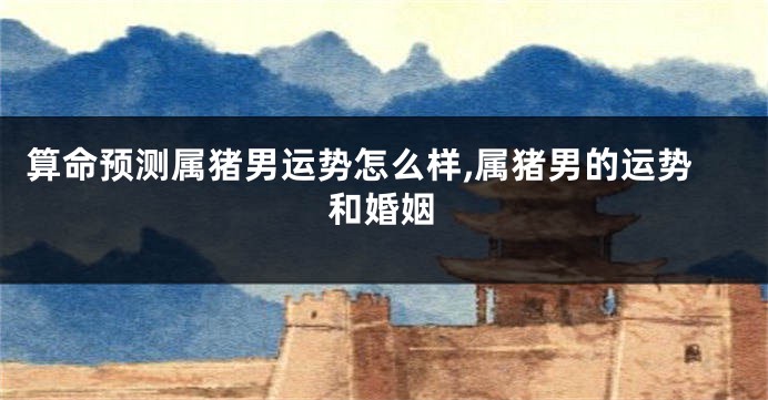 算命预测属猪男运势怎么样,属猪男的运势和婚姻