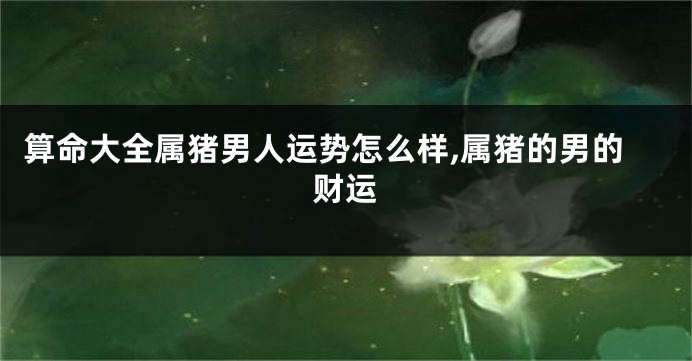 算命大全属猪男人运势怎么样,属猪的男的财运
