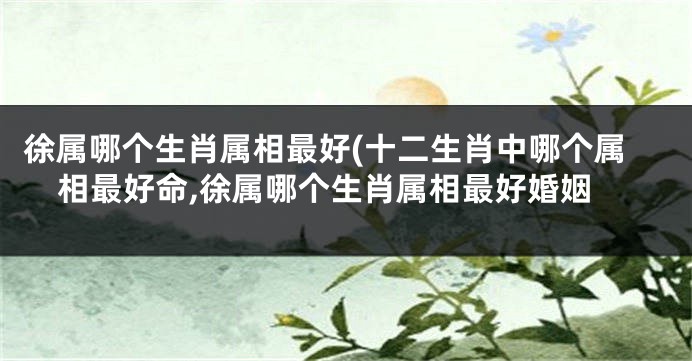 徐属哪个生肖属相最好(十二生肖中哪个属相最好命,徐属哪个生肖属相最好婚姻