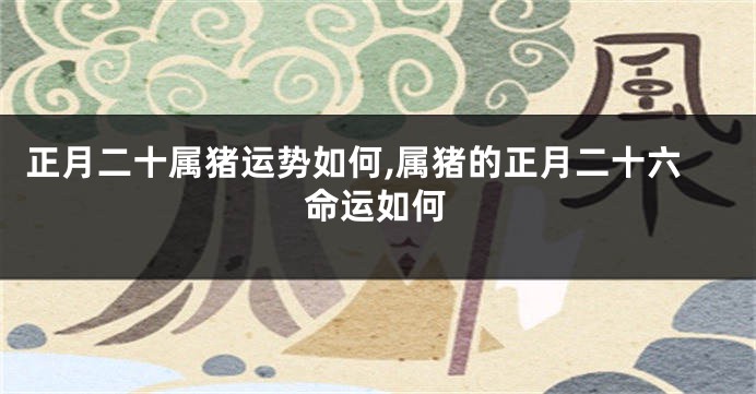 正月二十属猪运势如何,属猪的正月二十六命运如何