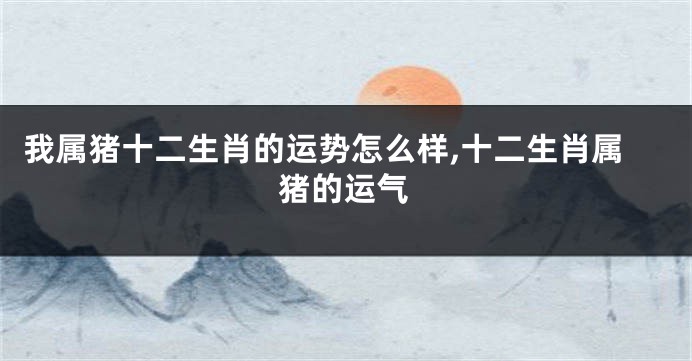 我属猪十二生肖的运势怎么样,十二生肖属猪的运气