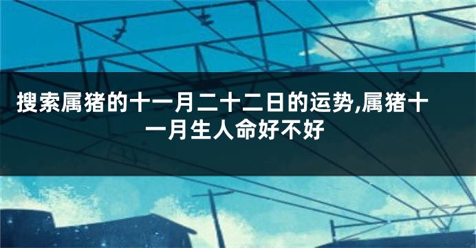 搜索属猪的十一月二十二日的运势,属猪十一月生人命好不好