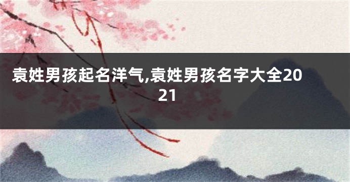 袁姓男孩起名洋气,袁姓男孩名字大全2021