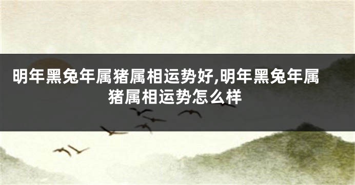 明年黑兔年属猪属相运势好,明年黑兔年属猪属相运势怎么样