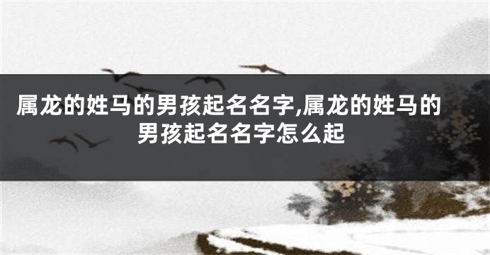 属龙的姓马的男孩起名名字,属龙的姓马的男孩起名名字怎么起