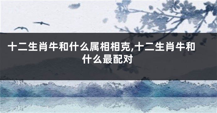 十二生肖牛和什么属相相克,十二生肖牛和什么最配对