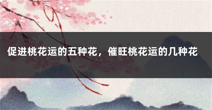 促进桃花运的五种花,催旺桃花运的几种花