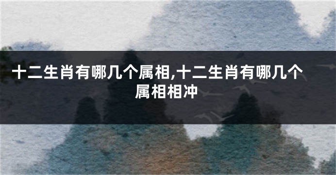 十二生肖有哪几个属相,十二生肖有哪几个属相相冲