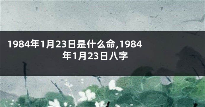1984年1月23日是什么命,1984年1月23日八字