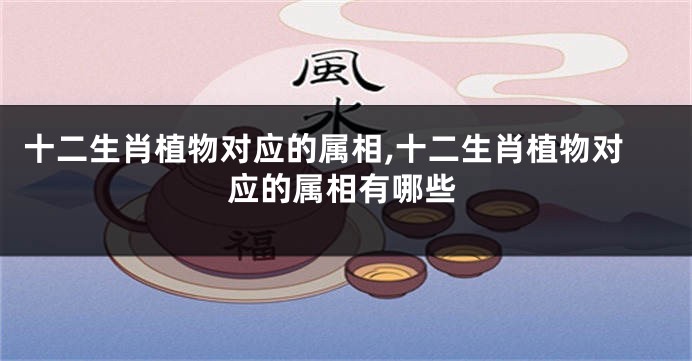 十二生肖植物对应的属相,十二生肖植物对应的属相有哪些