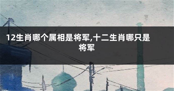 12生肖哪个属相是将军,十二生肖哪只是将军
