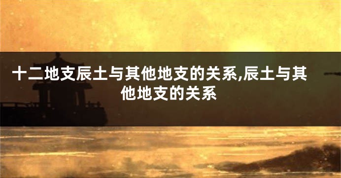 十二地支辰土与其他地支的关系,辰土与其他地支的关系