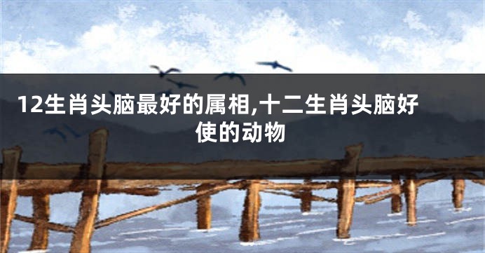 12生肖头脑最好的属相,十二生肖头脑好使的动物