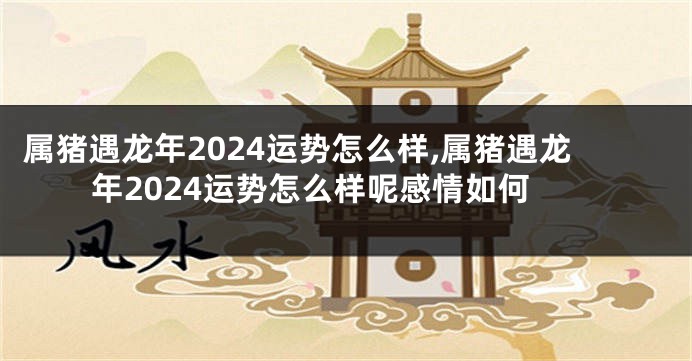 属猪遇龙年2024运势怎么样,属猪遇龙年2024运势怎么样呢感情如何