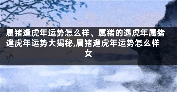 属猪逢虎年运势怎么样、属猪的遇虎年属猪逢虎年运势大揭秘,属猪逢虎年运势怎么样女