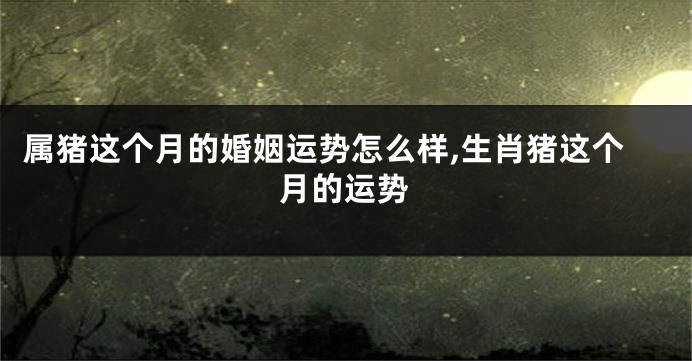 属猪这个月的婚姻运势怎么样,生肖猪这个月的运势