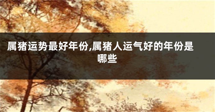属猪运势最好年份,属猪人运气好的年份是哪些
