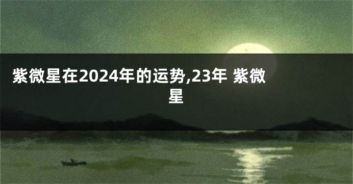 紫微星在2024年的运势,23年 紫微星