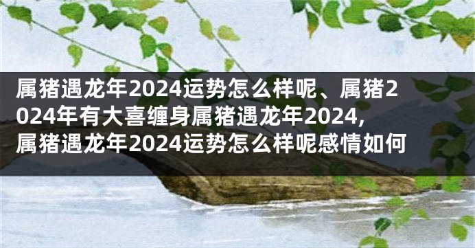 属猪遇龙年2024运势怎么样呢、属猪2024年有大喜缠身属猪遇龙年2024,属猪遇龙年2024运势怎么样呢感情如何