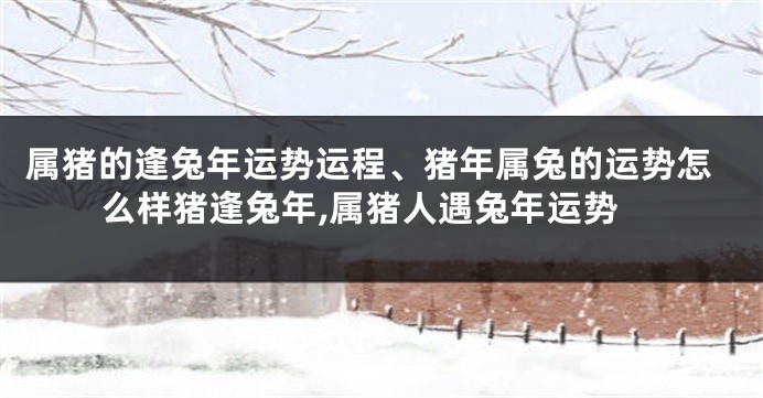 属猪的逢兔年运势运程、猪年属兔的运势怎么样猪逢兔年,属猪人遇兔年运势