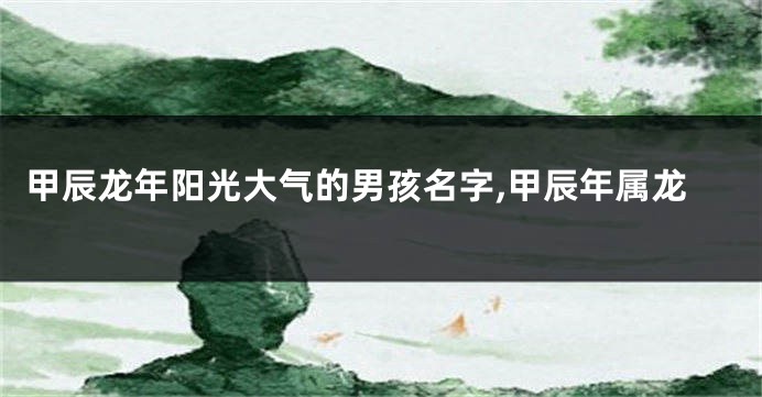 甲辰龙年阳光大气的男孩名字,甲辰年属龙