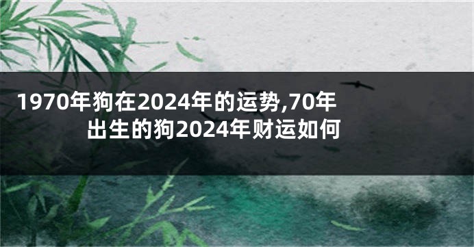 1970年狗在2024年的运势,70年出生的狗2024年财运如何