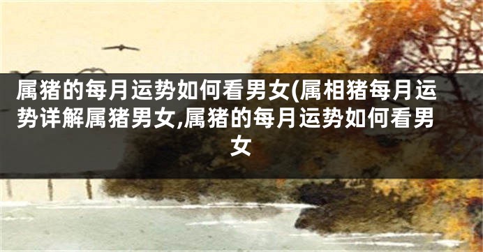 属猪的每月运势如何看男女(属相猪每月运势详解属猪男女,属猪的每月运势如何看男女