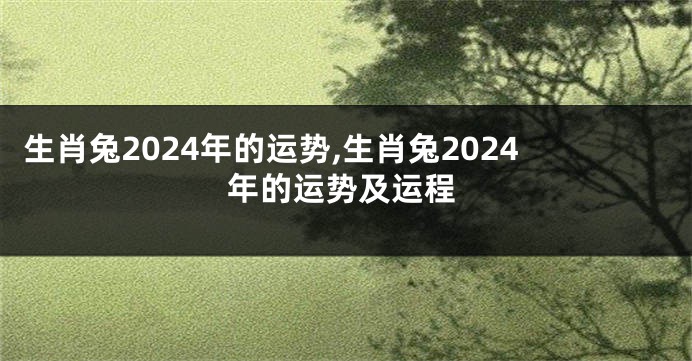 生肖兔2024年的运势,生肖兔2024年的运势及运程