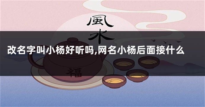 改名字叫小杨好听吗,网名小杨后面接什么