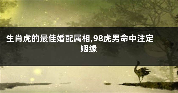 生肖虎的最佳婚配属相,98虎男命中注定姻缘