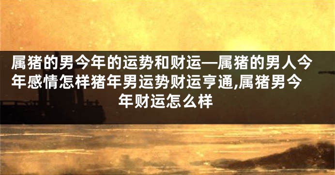 属猪的男今年的运势和财运—属猪的男人今年感情怎样猪年男运势财运亨通,属猪男今年财运怎么样