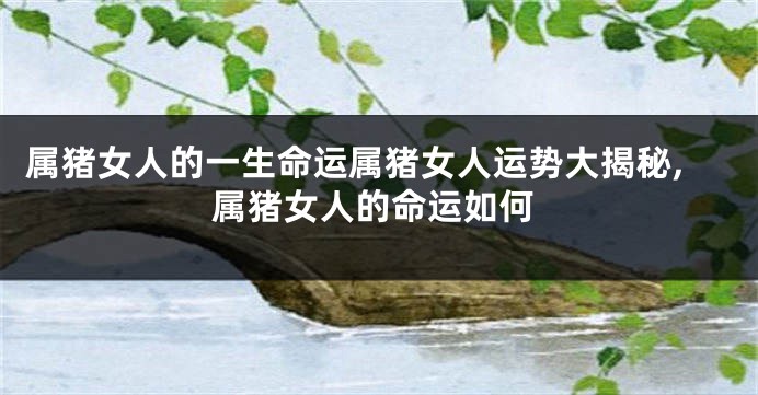 属猪女人的一生命运属猪女人运势大揭秘,属猪女人的命运如何
