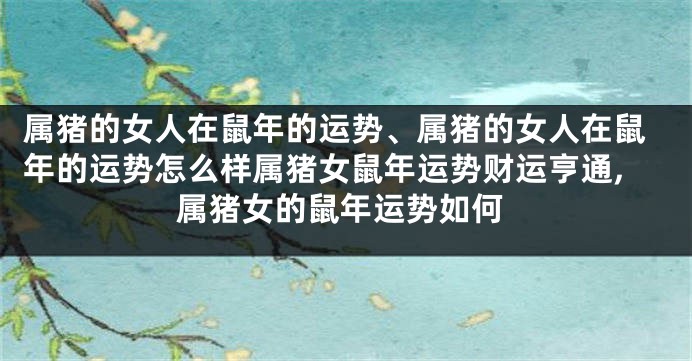 属猪的女人在鼠年的运势、属猪的女人在鼠年的运势怎么样属猪女鼠年运势财运亨通,属猪女的鼠年运势如何
