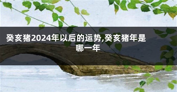 癸亥猪2024年以后的运势,癸亥猪年是哪一年