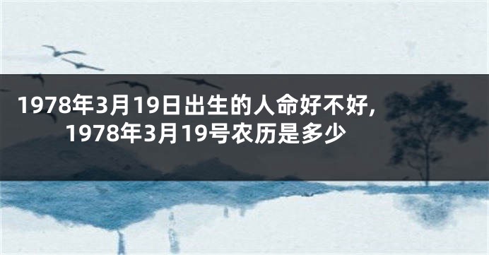 1978年3月19日出生的人命好不好,1978年3月19号农历是多少