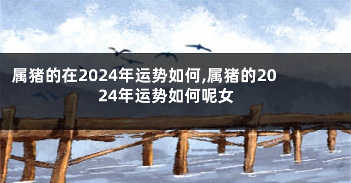 属猪的在2024年运势如何,属猪的2024年运势如何呢女