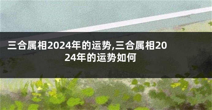 三合属相2024年的运势,三合属相2024年的运势如何