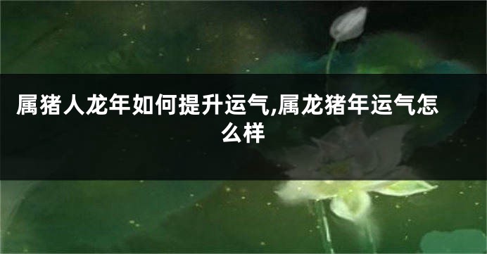 属猪人龙年如何提升运气,属龙猪年运气怎么样