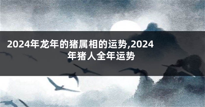 2024年龙年的猪属相的运势,2024年猪人全年运势