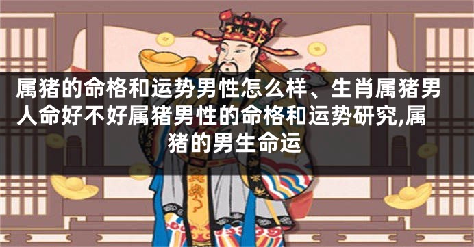 属猪的命格和运势男性怎么样、生肖属猪男人命好不好属猪男性的命格和运势研究,属猪的男生命运